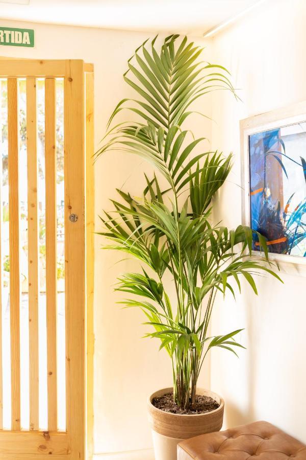 Sitges Beach Hostal Екстериор снимка